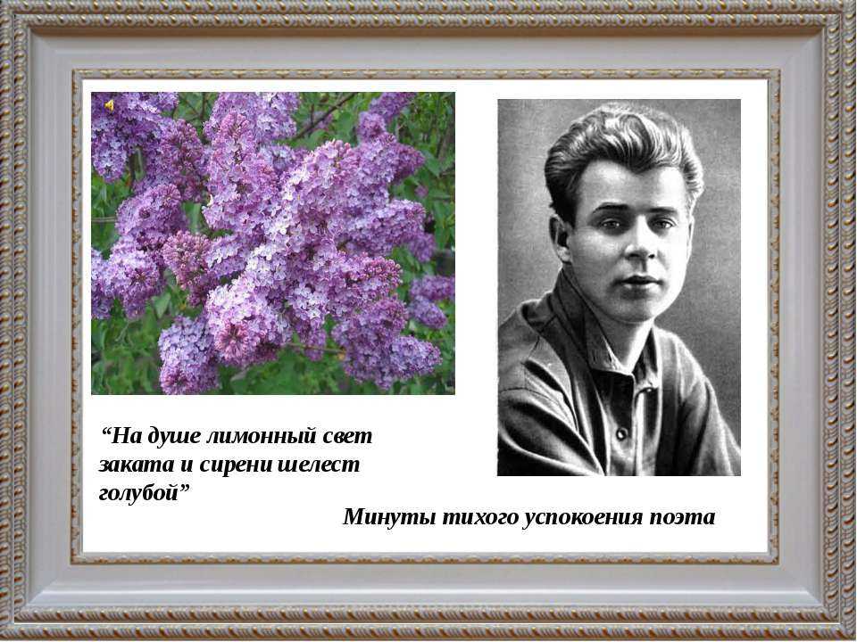 Загадки про цветы для детей с ответами