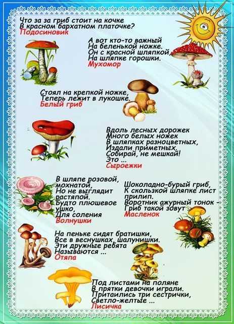 Загадки про деревья