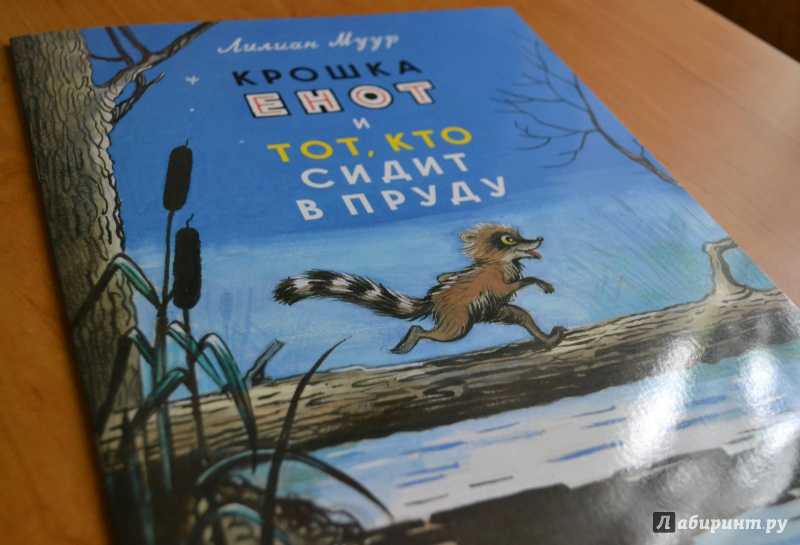 Сказка крошка енот и тот, кто сидит в пруду. лилиан муур