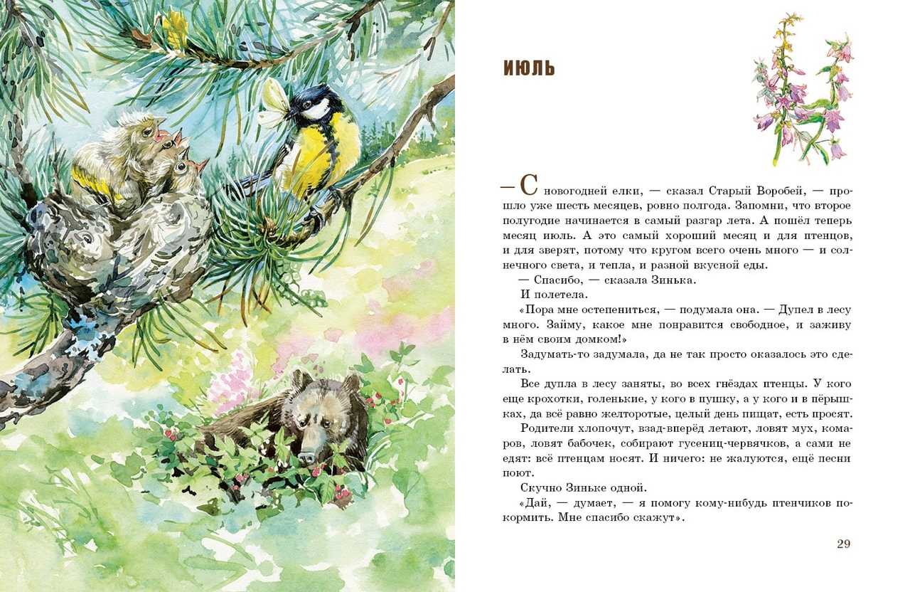Птичьи разговоры - бианки в.в. сказка про то, о чем разговаривают птицы и животные.