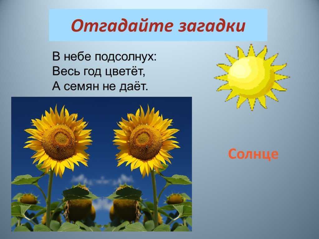 Загадки про овощи и фрукты для детей с ответами. загадки для детей в стихах с ответами. стихи загадки для дошкольников