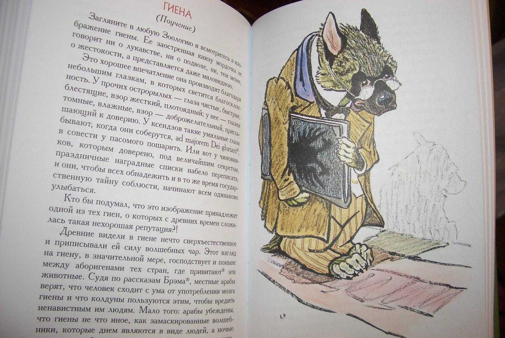Краткий анализ сказки салтыкова-щедрина «бедный волк»