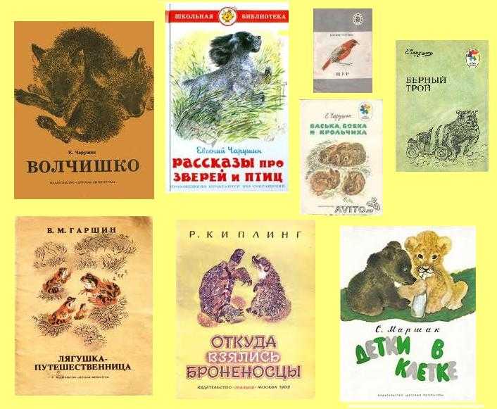 Чарушин рассказы