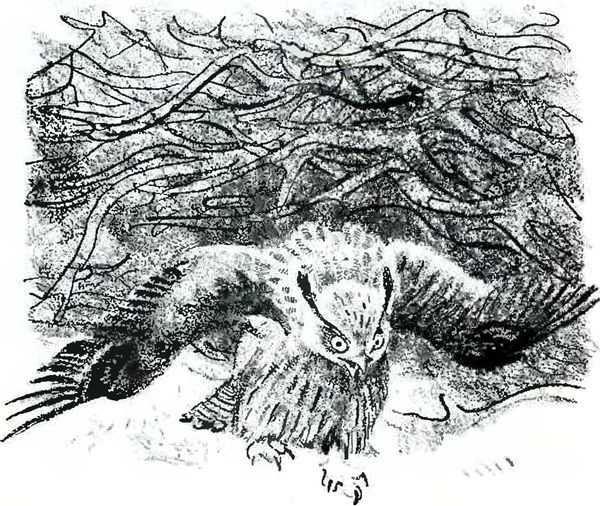 Книга филин читать онлайн