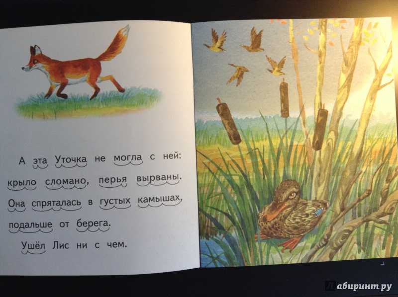 Бианки виталий сказка «хитрый лис и умная уточка»