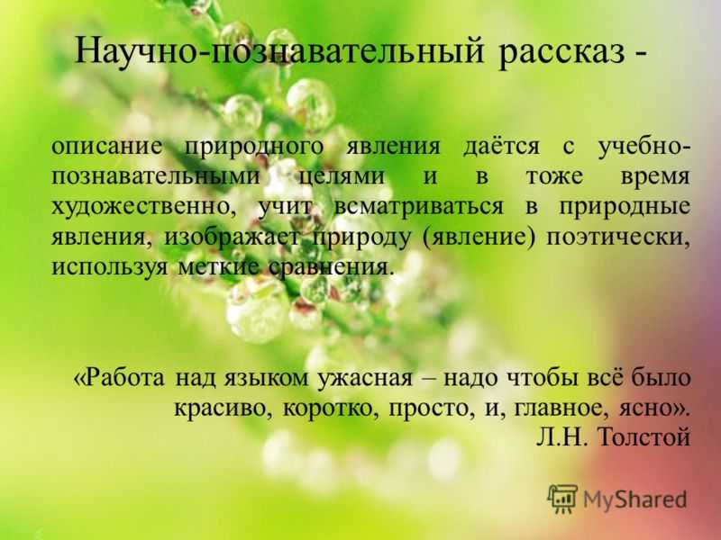Какая бывает роса на траве толстой читать – «какая бывает роса на траве» рассказ льва толстого - стройматериалы в иркутске - стройка дисконт