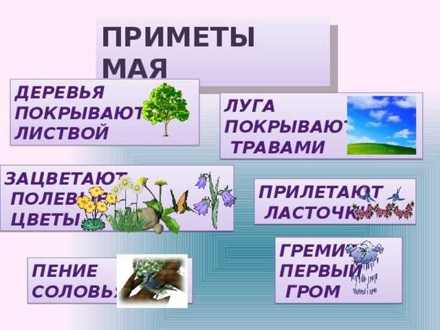 Загадки про весну - подготовка к школе и развивающие задания для детей мама7я