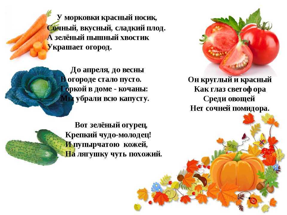 Загадки про овощи и фрукты с ответами - я happy мама
