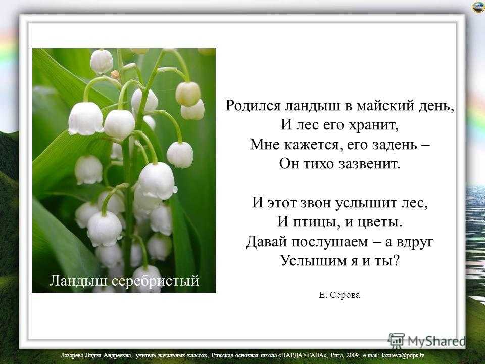 Загадки про весну - подготовка к школе и развивающие задания для детей мама7я
