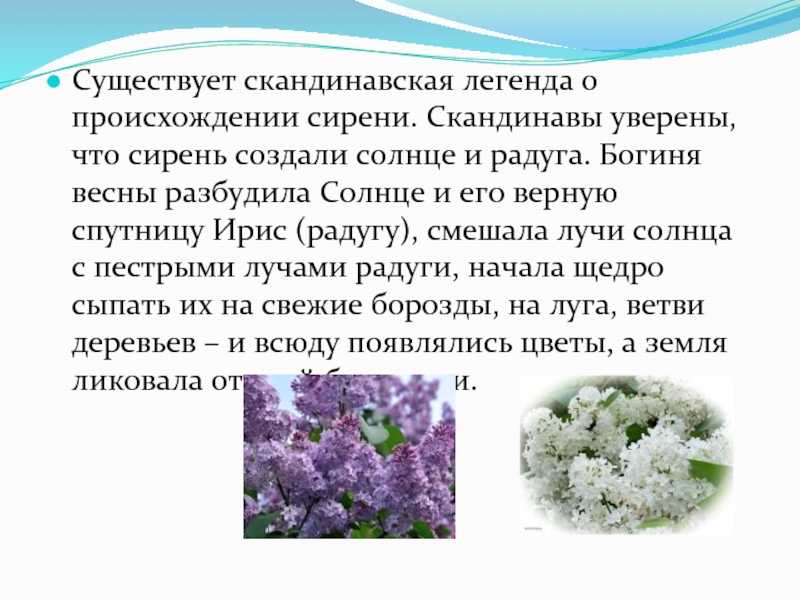 Загадки для детей про лето. топ - 50 с ответами!