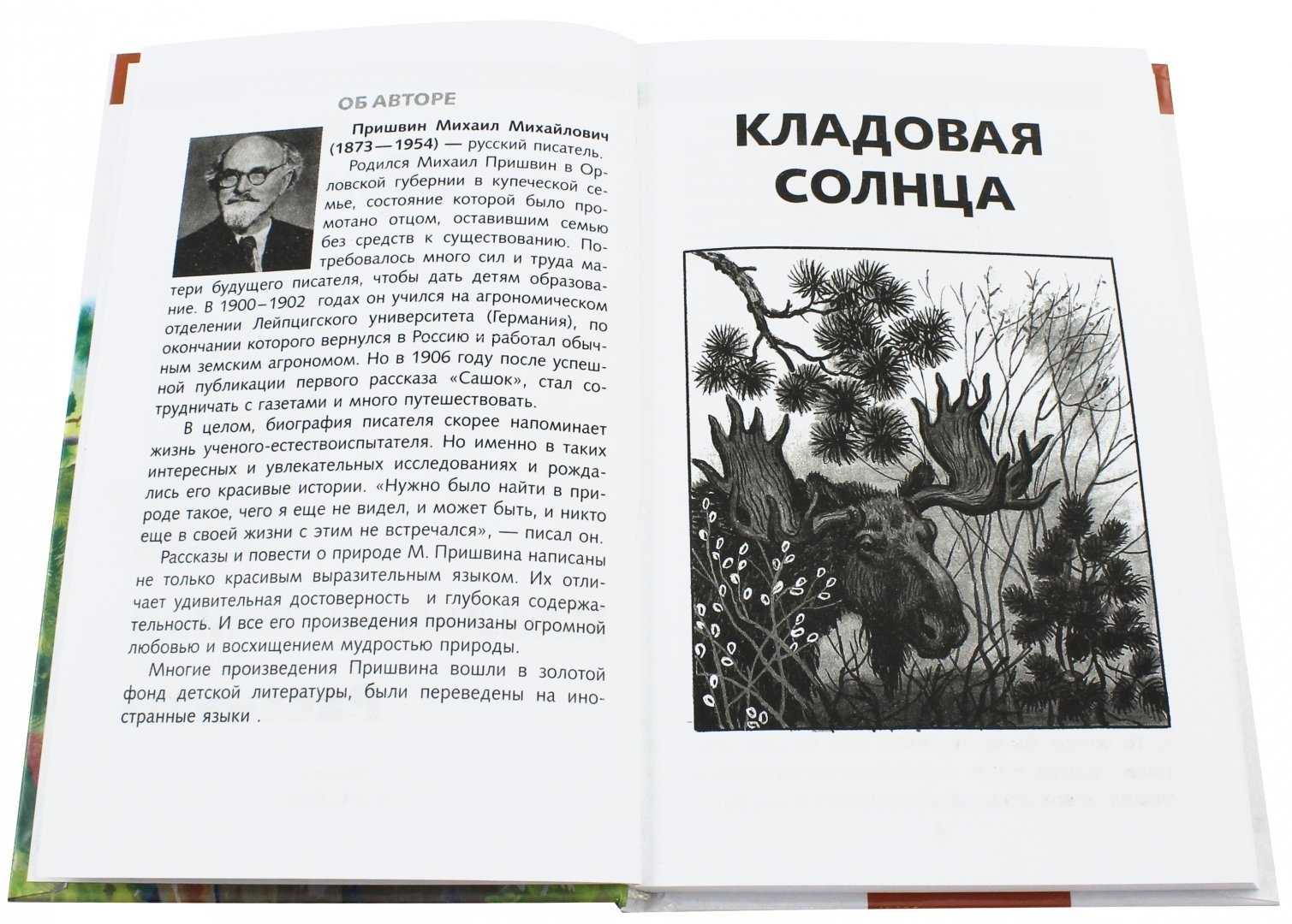 Кладовая солнца (пришвин) — читать онлайн