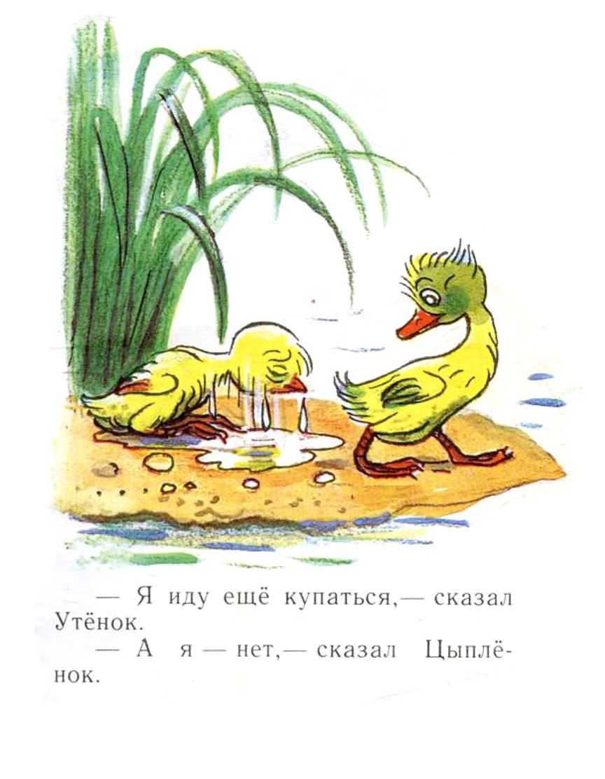 Цыпленок и утенок