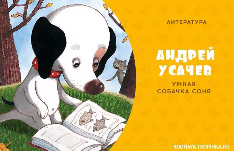 Умная собачка соня читать