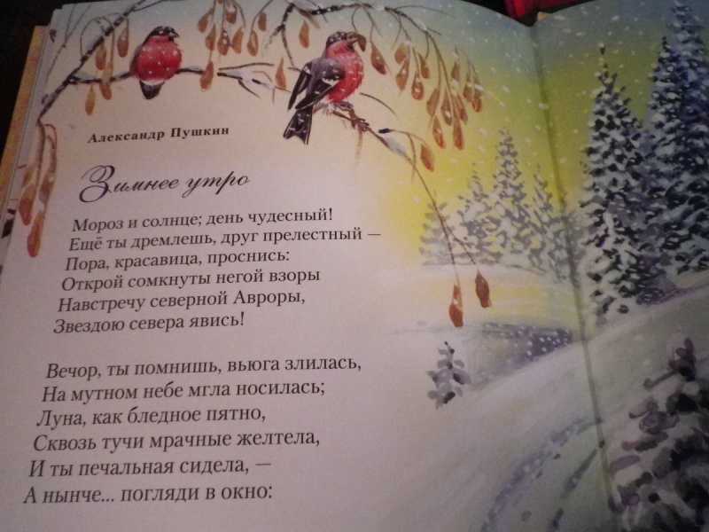 Стихи про зиму: красивые стихотворения русских поэтов классиков о зиме - лучшие, известные на рустих
