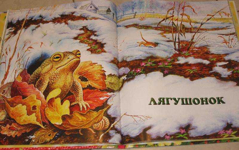 Сказка михаила пришвина лягушонок