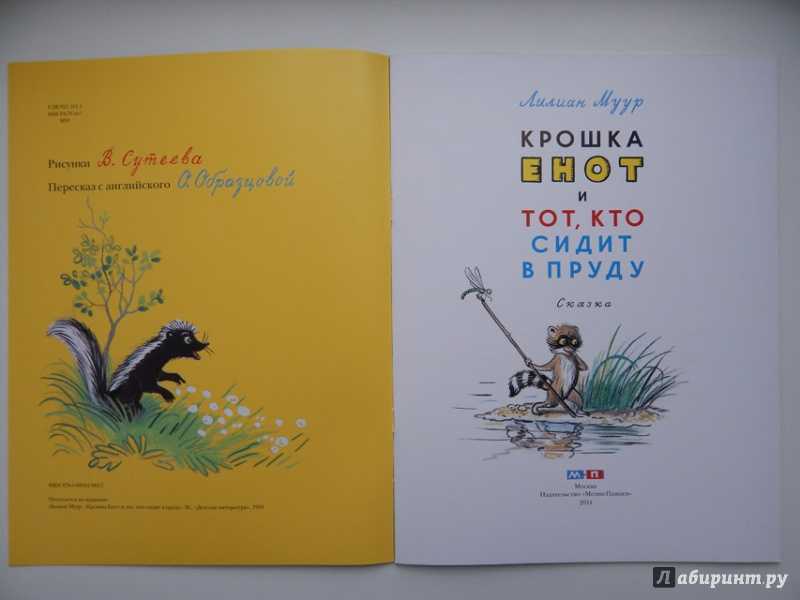 Крошка енот и тот, кто сидит в пруду скачать epub, fb2 книгу муур лилиан, читать онлайн