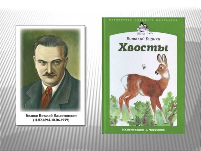 Бианки «хвосты» читать текст