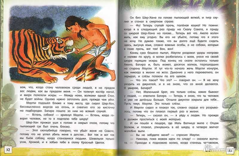Маугли - сказки киплинга: читать с картинками, иллюстрациями - сказка dy9.ru