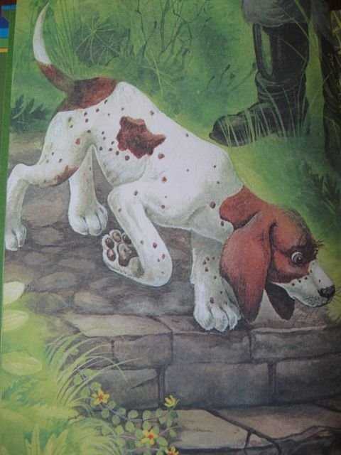 Первая стойка - м. пришвин - дружок. книга для внеклассного чтения, 1 класс - произведения школьной программы