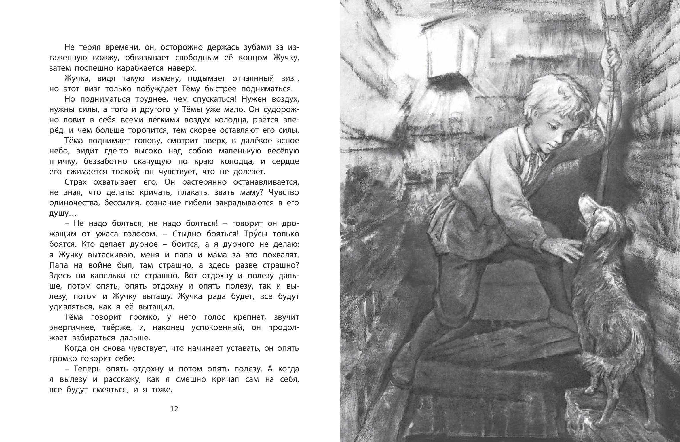 Николай гарин-михайловский: тёма и жучка