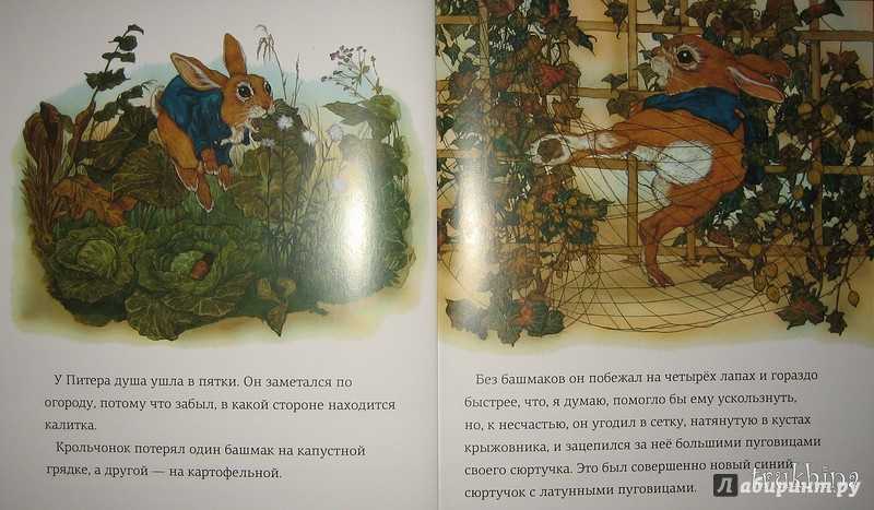 Сказка про питера-кролика
