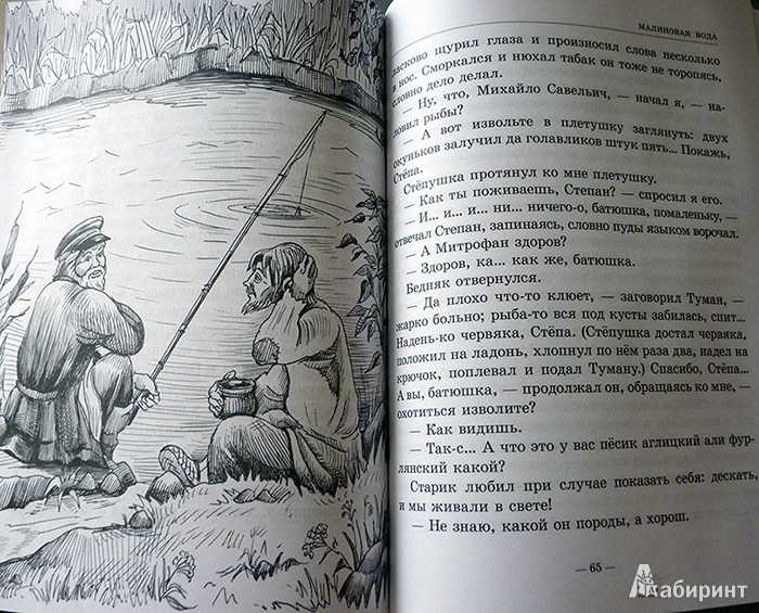 Алексей пантелеев - маринка