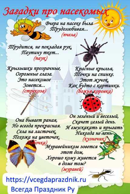 Загадки про насекомых - подготовка к школе и развивающие задания для детей мама7я