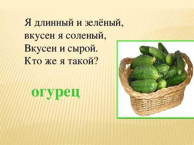 Загадки про овощи для детей: 200 лучших загадок с ответами