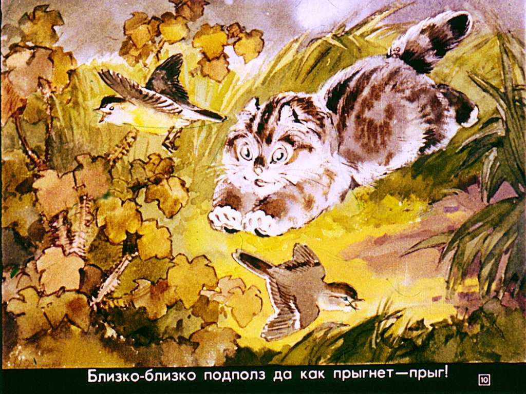 Читать сказку тюпа, томка и сорока - чарушин е. - отечественные писатели, онлайн бесплатно с иллюстрациями.