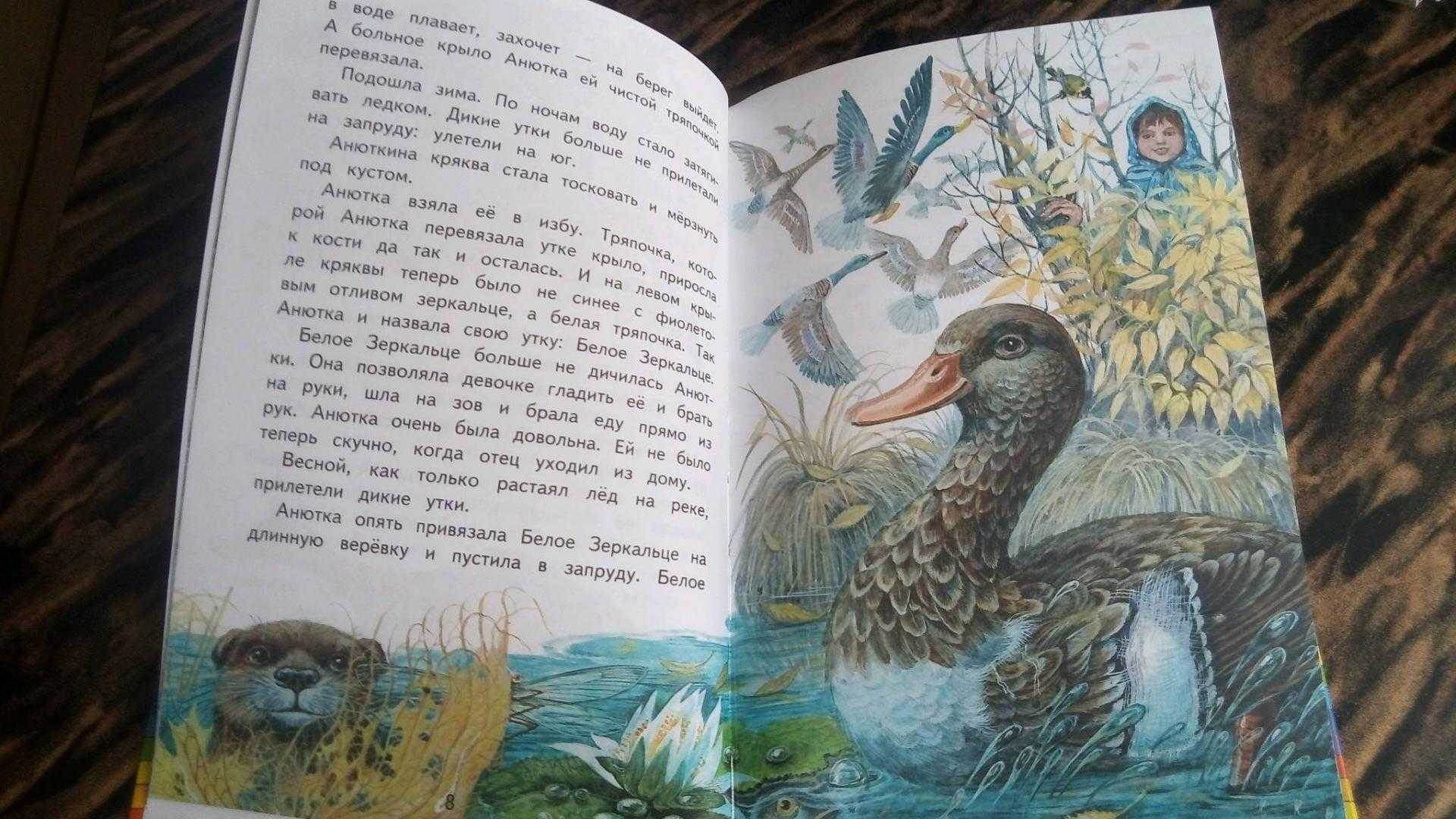 Анюткина утка - сказки бианки: читать с картинками, иллюстрациями - сказка dy9.ru