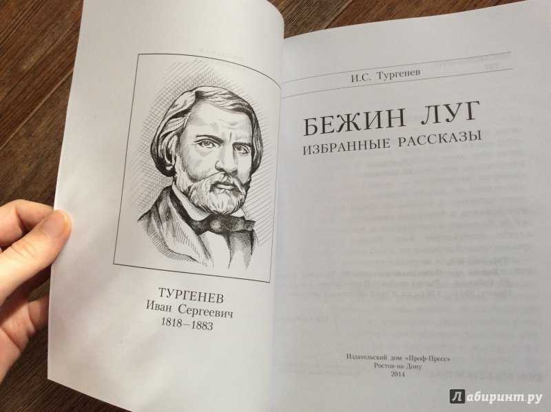Краткое содержание «бежин луг» тургенева читать за 4 минуты