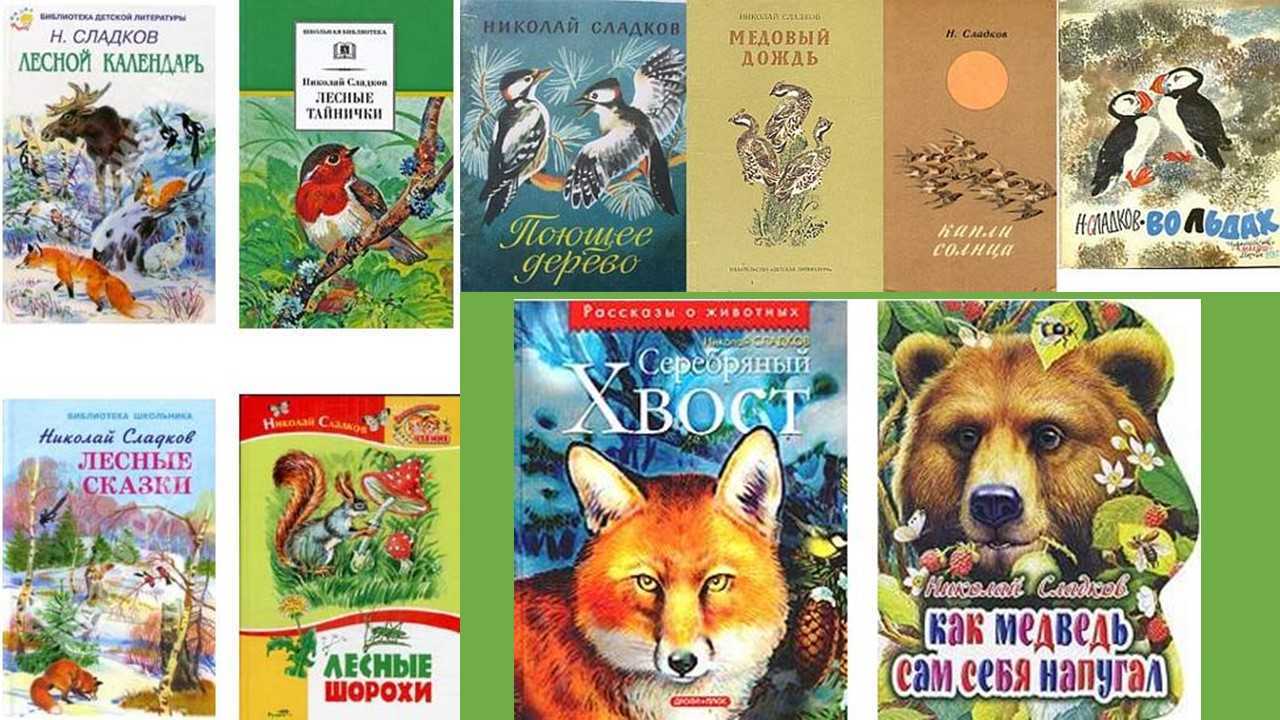 Рассказы николая сладкова