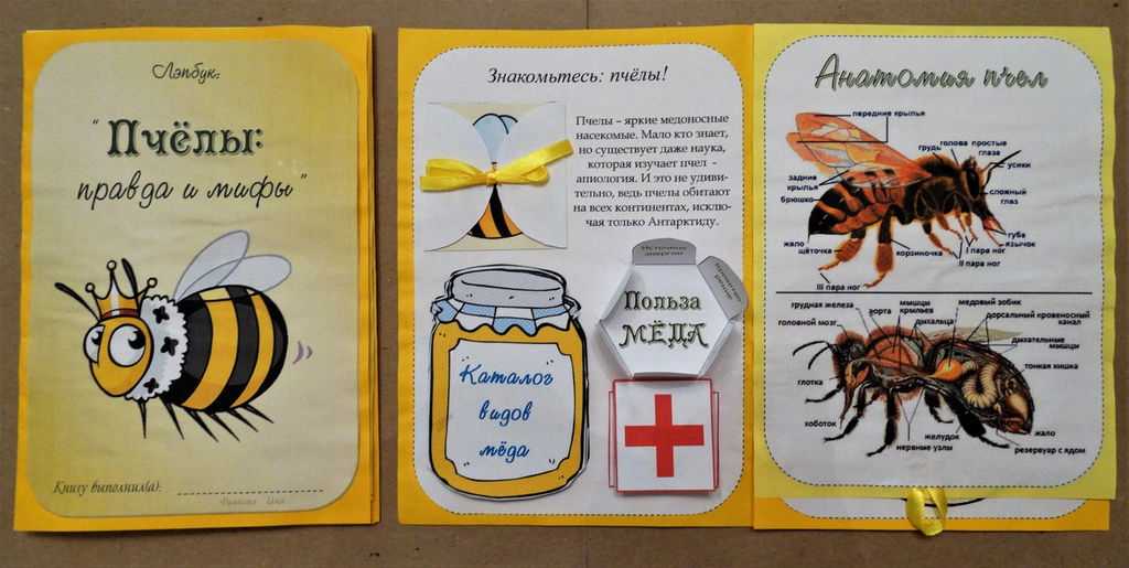 Пчела и мухи ушинский краткое содержание