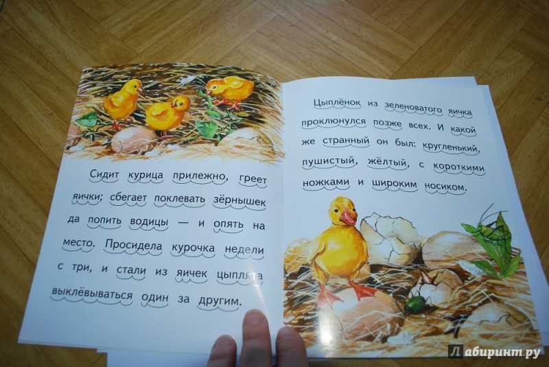 Сказка  чужое яичко - ушинский к. д. читать текст онлайн бесплатно - stihiskazki.ru