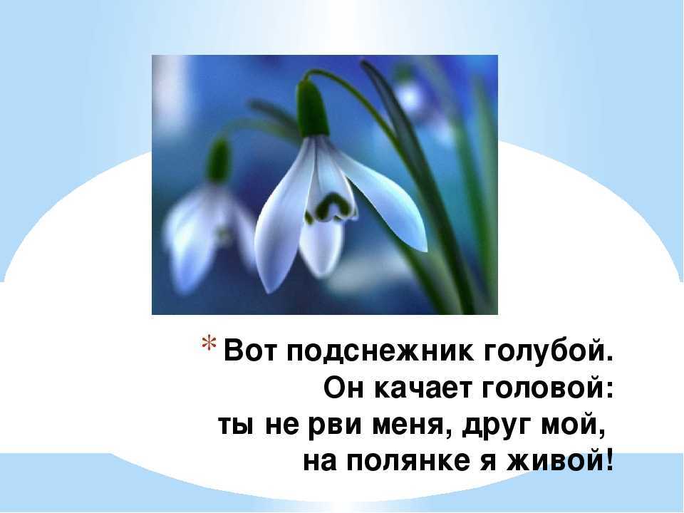 Лучшие загадки для детей 5-6 лет с ответами (можно распечатать!)