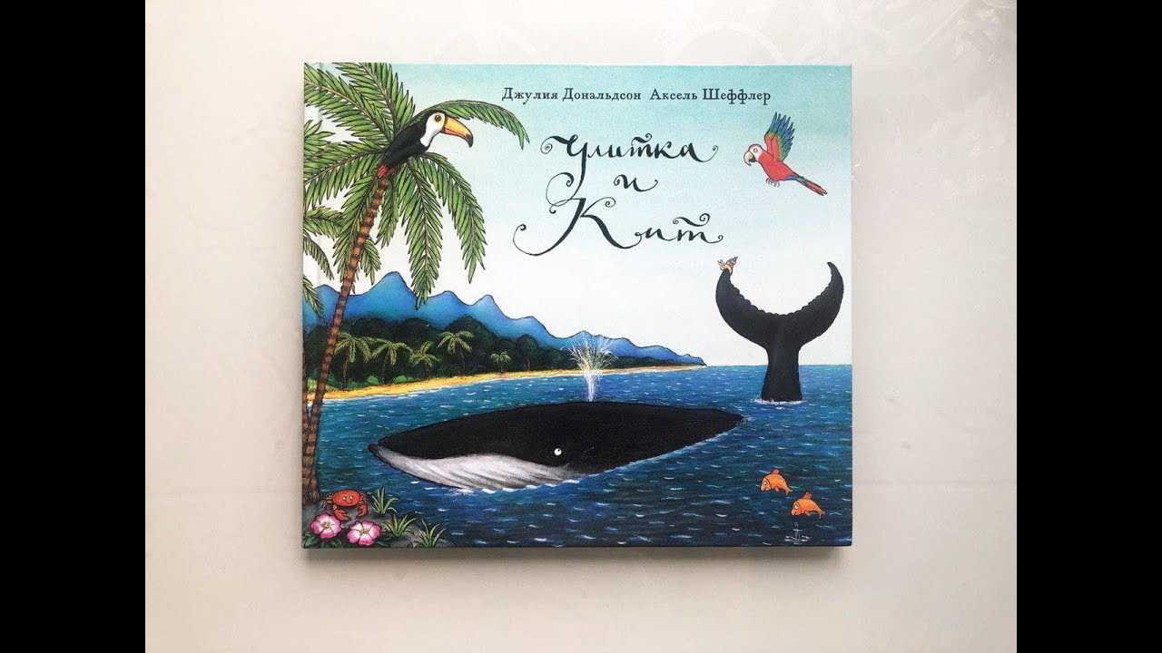 Сказки на ночь про улитку. сказка про улитку — игорь шибка