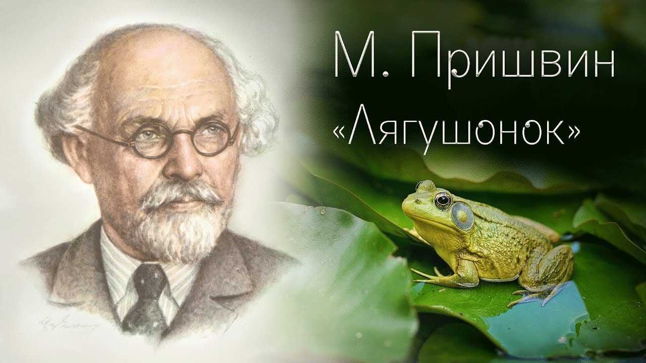 Лягушонок — читать с картинками — пришвин михаил ✍ библиотека школьника > электронный ресурс