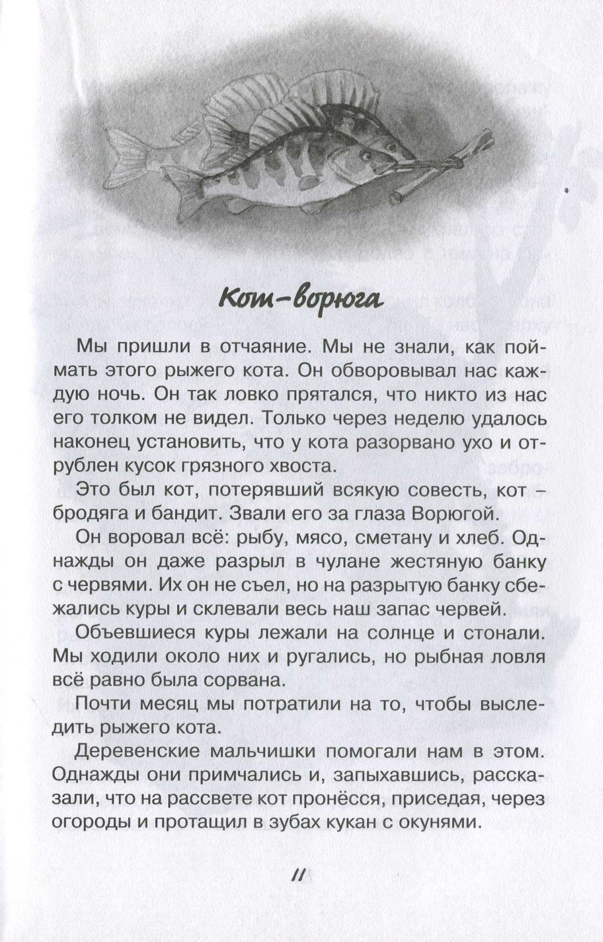 Паустовский к.г. – кот-ворюга |  развивайка
