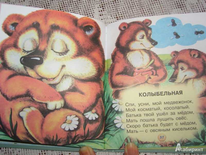 Сказка спать не хочет бурый мишка