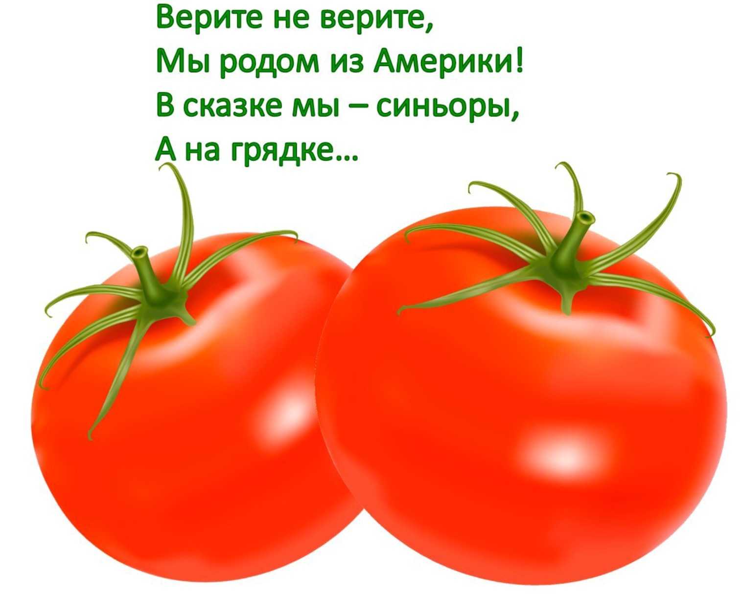 Загадка про слово картофель