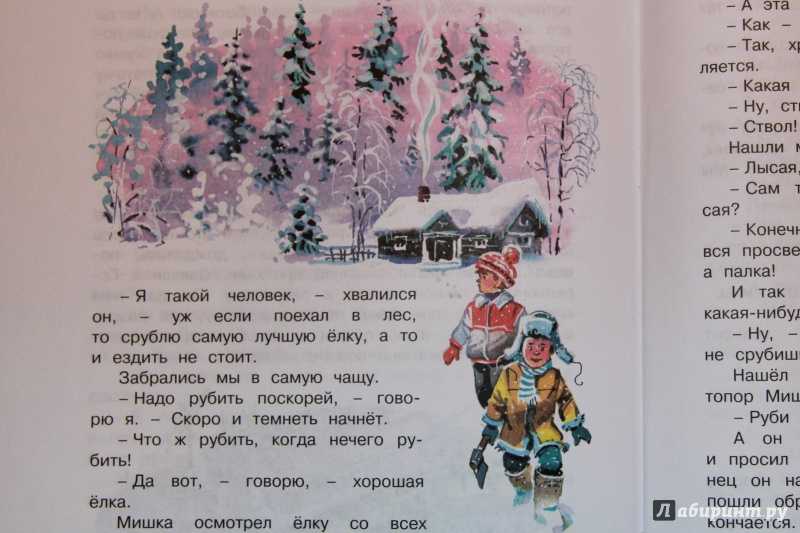 Рассказ «бенгальские огни» — николай носов