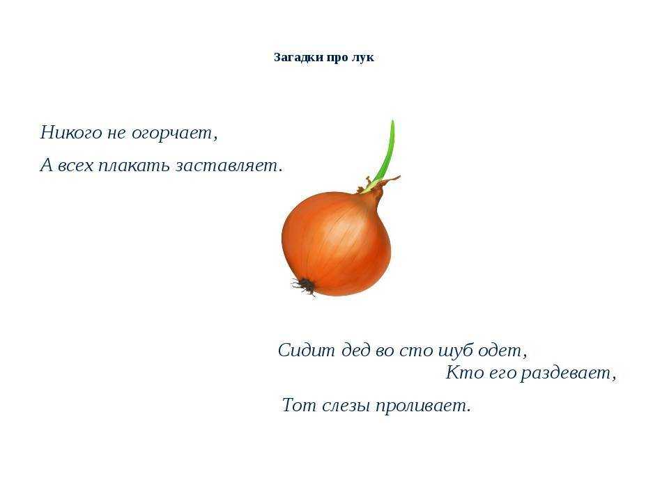 Пословицы об овощах и поговорки об овощах