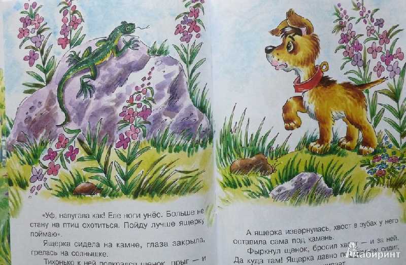 Первая охота :
                                        виталий бианки. рассказы