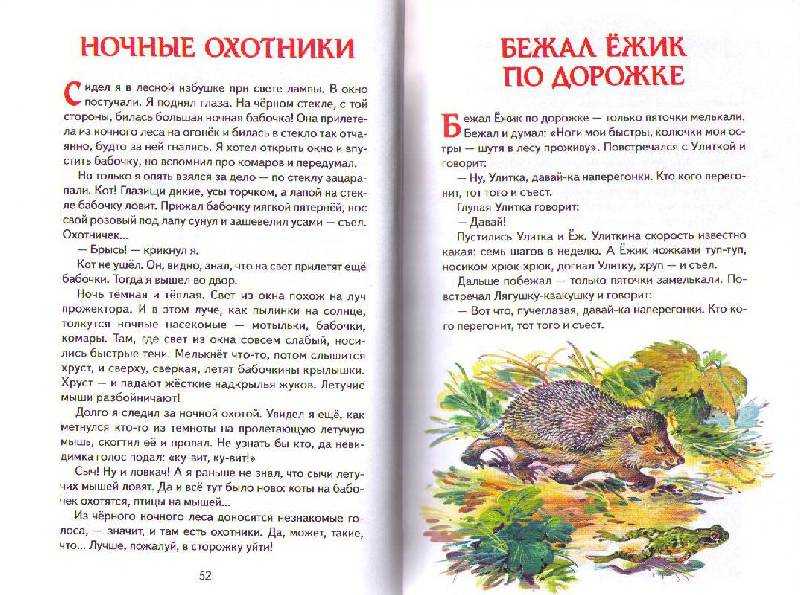Читать сказку лесные сказки - сладков н. - отечественные писатели, онлайн бесплатно с иллюстрациями.