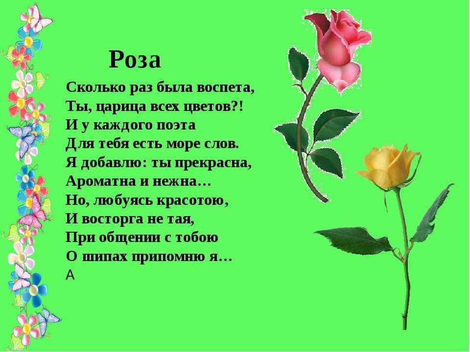 Колокольчики мои