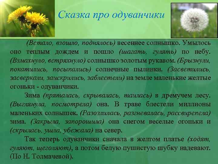 Загадка про одуванчик для детей