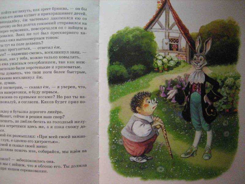 Шесть лебедей | твоя сказка