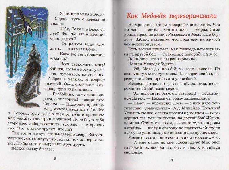 Николай сладков: бюро лесных услуг. с вопросами и ответами для почемучек