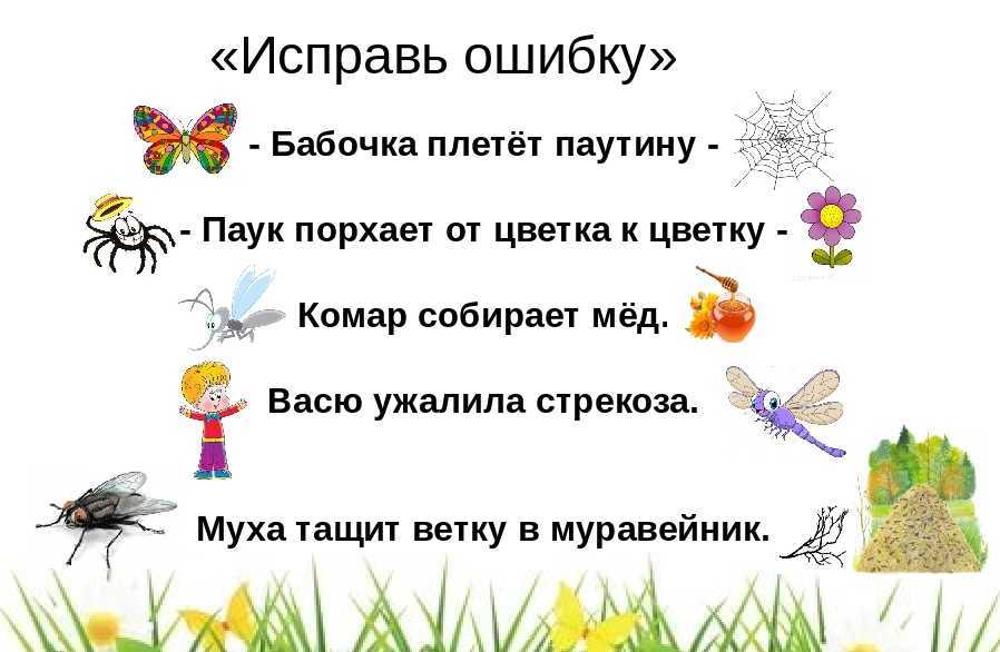 Угадай, что за птица?