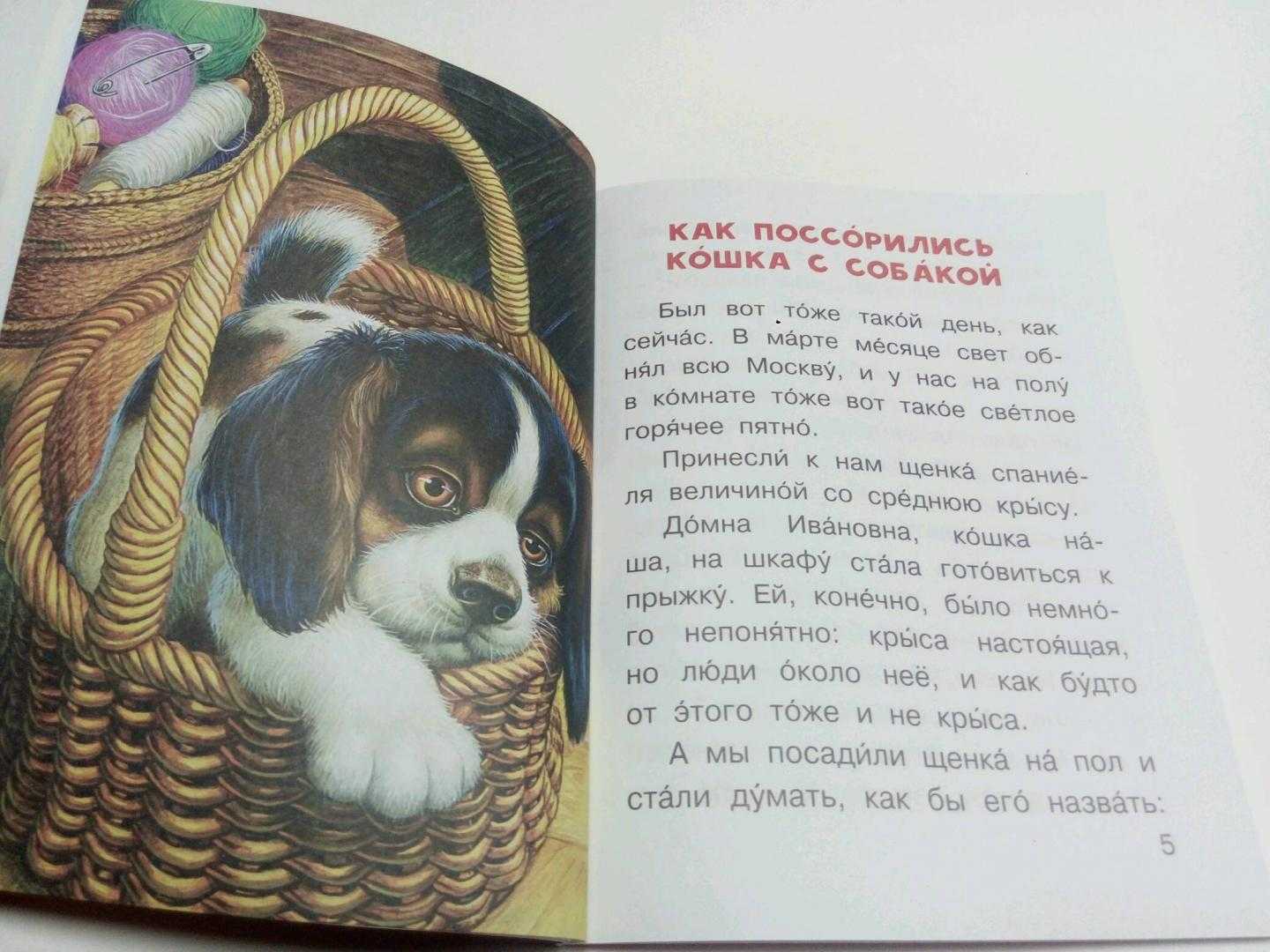 Михаил пришвин. рассказы о животных.